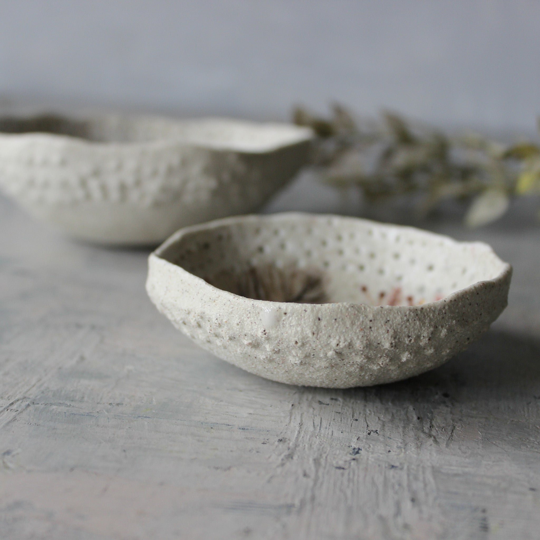 Little Sepia Feather Fern Dishes - Tribe Castlemaine