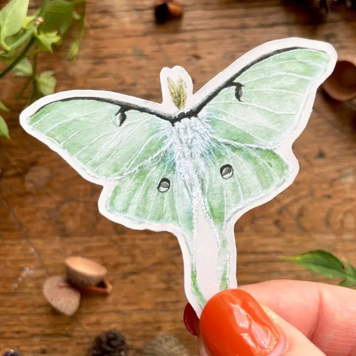 Luna Moth Sticker - Tribe Castlemaine