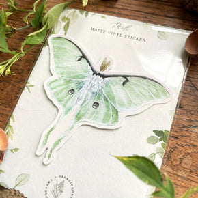 Luna Moth Sticker - Tribe Castlemaine