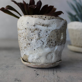 Marbled Ceramic Planter & Saucer Sets - Tribe Castlemaine