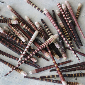 Marine Treasures - sea urchins & star fish - Tribe Castlemaine