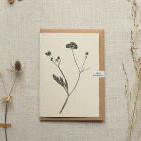 Mono Botanical Print Greeting Cards - Tribe Castlemaine
