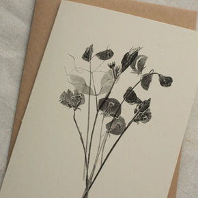 Mono Botanical Print Greeting Cards - Tribe Castlemaine