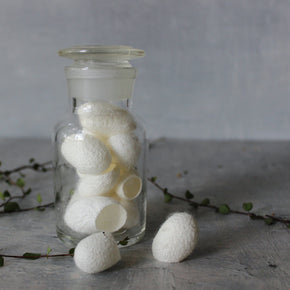 Mulberry Silk Cocoons - Tribe Castlemaine
