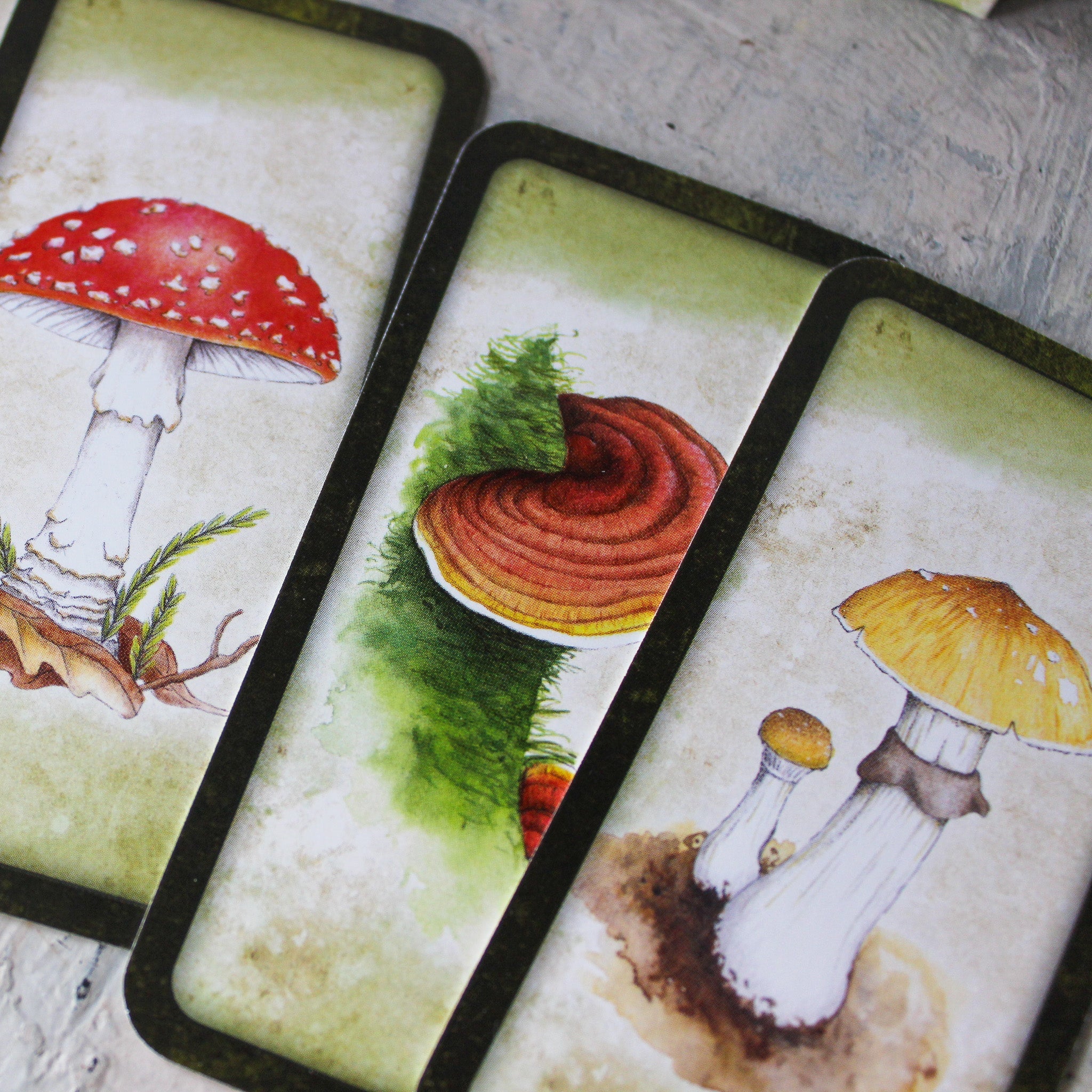 Mushroom Affirmation Cards - Tribe Castlemaine