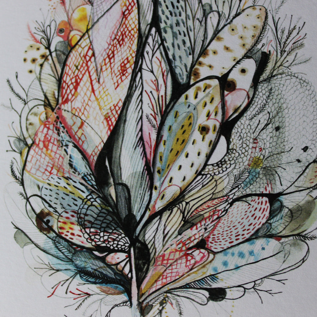 Native Pod Card - Tribe Castlemaine