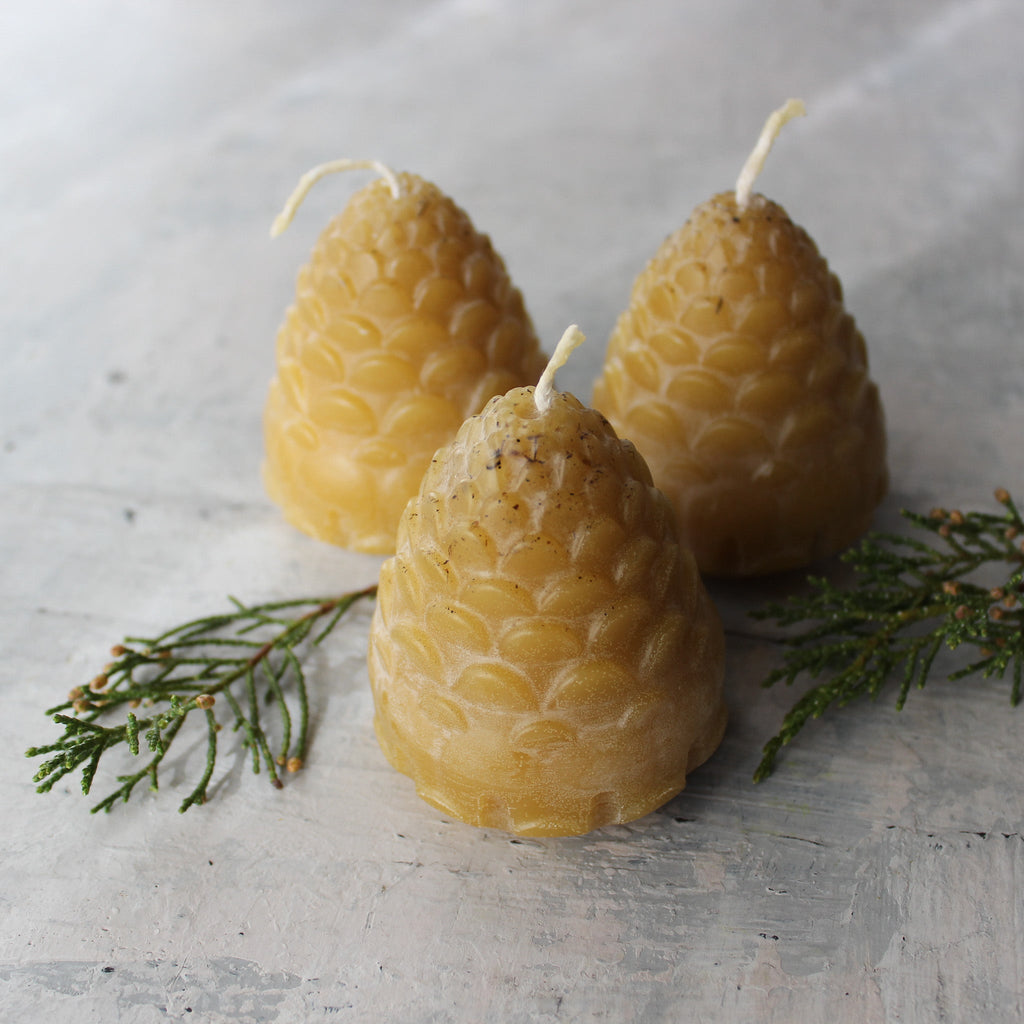Pine Cone Beeswax Candles - Tribe Castlemaine
