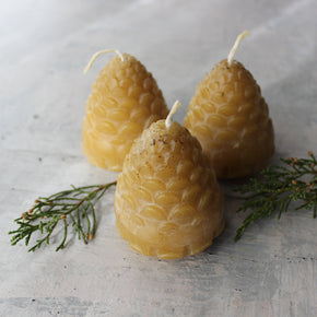 Pine Cone Beeswax Candles - Tribe Castlemaine