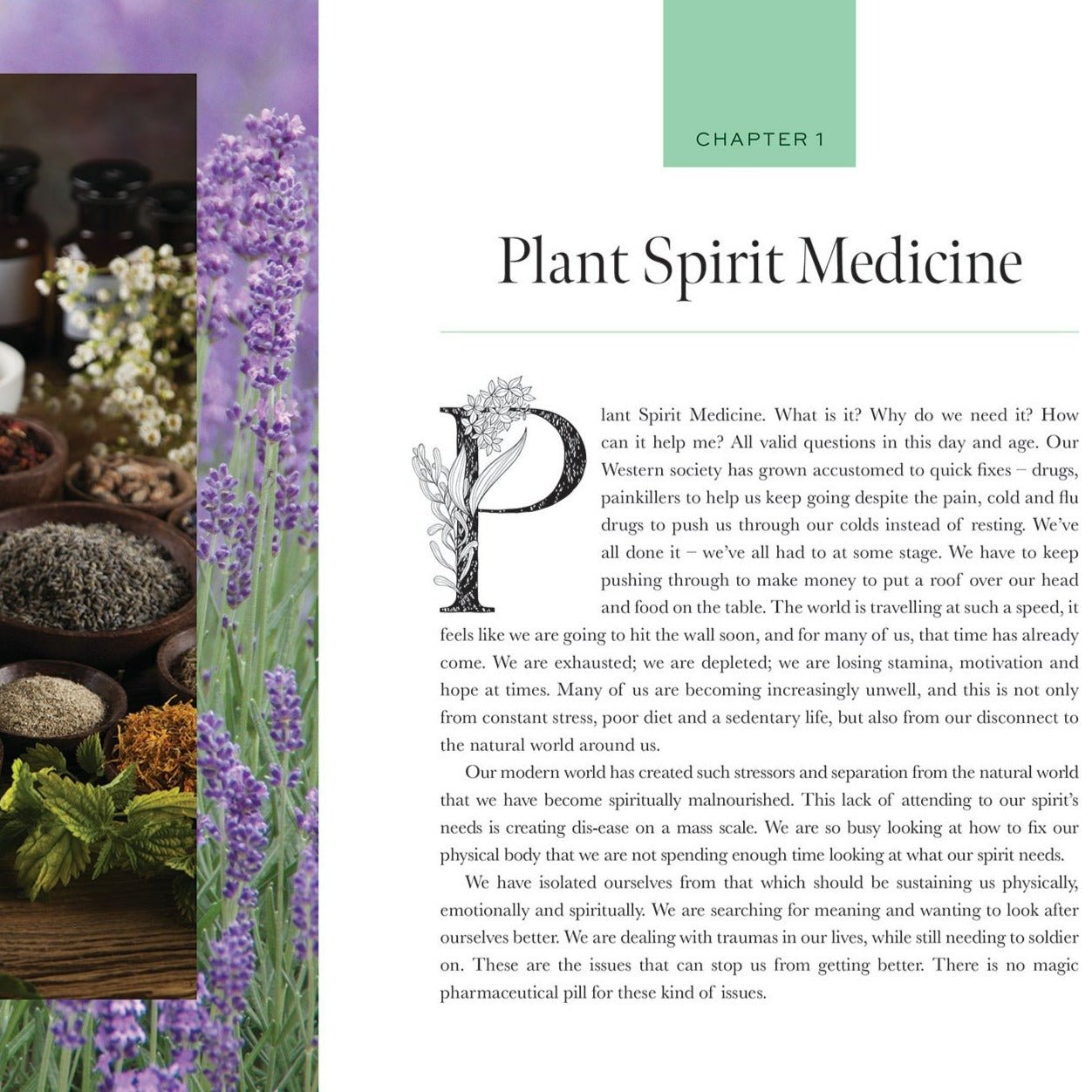 Plant Spirit Medicine Book - Tribe Castlemaine