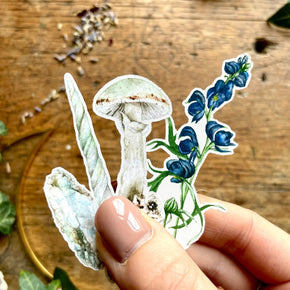 Potion Ingredient Sticker Set - Tribe Castlemaine