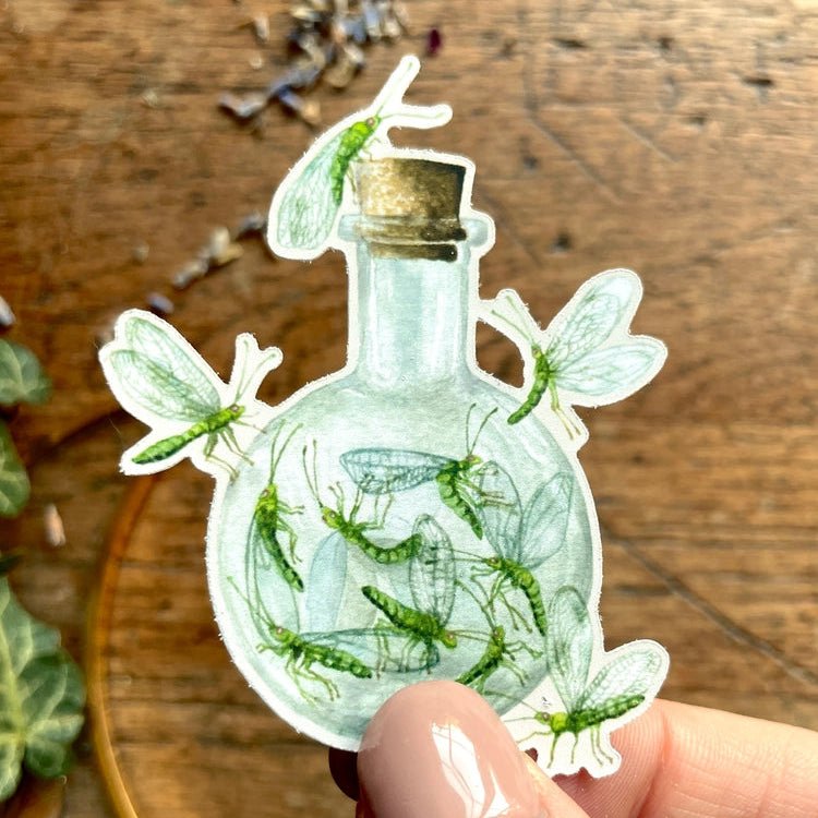 Potion Ingredient Sticker Set - Tribe Castlemaine