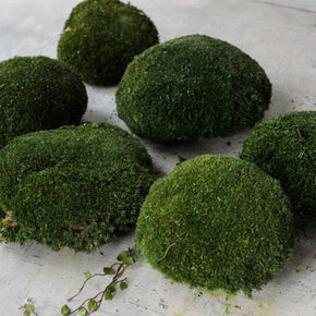 Preserved Ball Moss Stones - Tribe Castlemaine