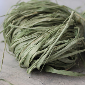 Raffia - Tribe Castlemaine