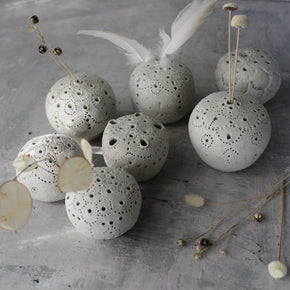 Sea Urchin Incense Holder / Specimen Keepers - Tribe Castlemaine
