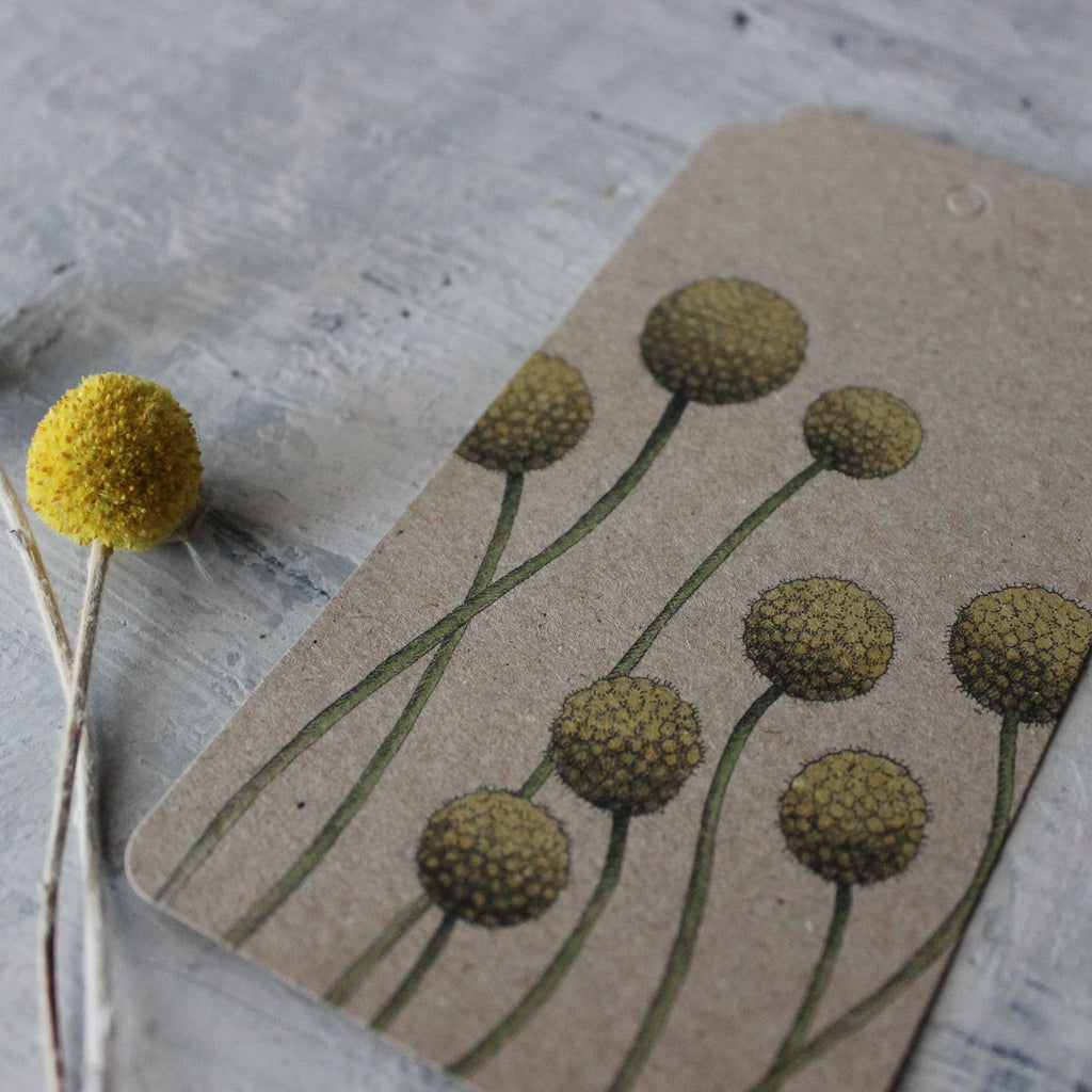 Sow 'n Sow Gift Tags : Billy Button (Colour) - Tribe Castlemaine