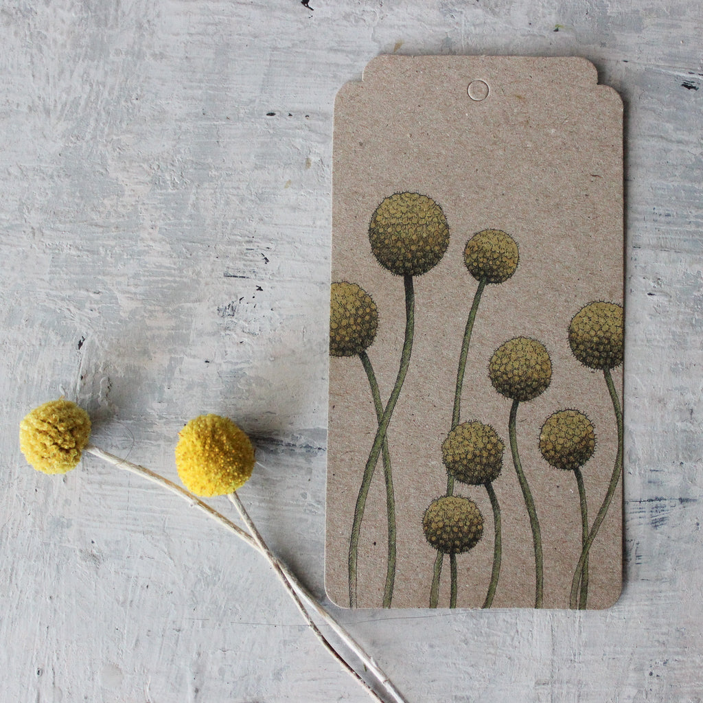 Sow 'n Sow Gift Tags : Billy Button (Colour) - Tribe Castlemaine