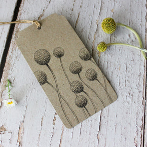 Sow 'n Sow Gift Tags : Various Designs - Tribe Castlemaine