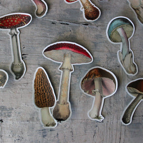 Toadstool Sticker Pack (Vinyl) - Tribe Castlemaine