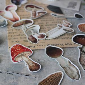 Toadstool Sticker Pack (Vinyl) - Tribe Castlemaine