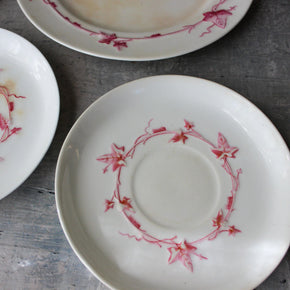 Vintage Minton Pink Ivy Bone China Set - Tribe Castlemaine
