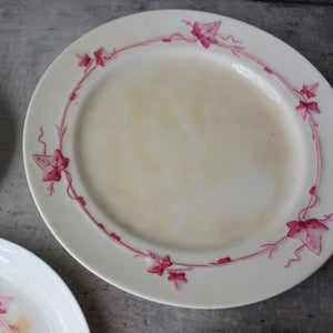 Vintage Minton Pink Ivy Bone China Set - Tribe Castlemaine