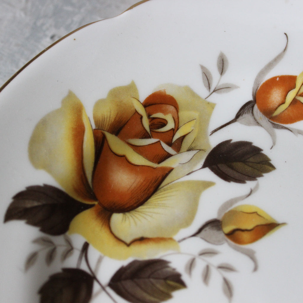 Vintage Regency Yellow Roses Tea Cup Trio - Tribe Castlemaine