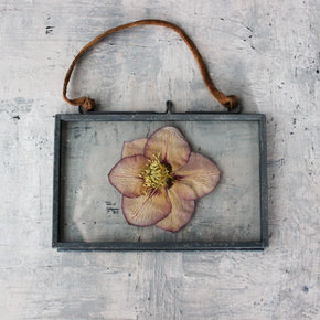 Vintage Style Glass Frames - Tribe Castlemaine