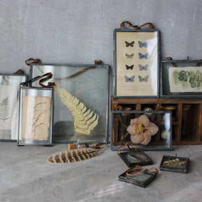 Vintage Style Glass Frames - Tribe Castlemaine