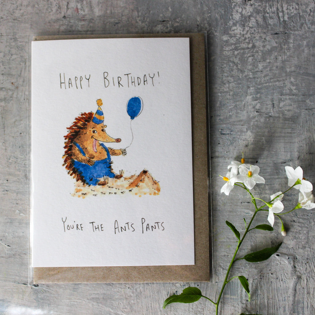 Well Drawn Echidna Birthday Card - Tribe Castlemaine