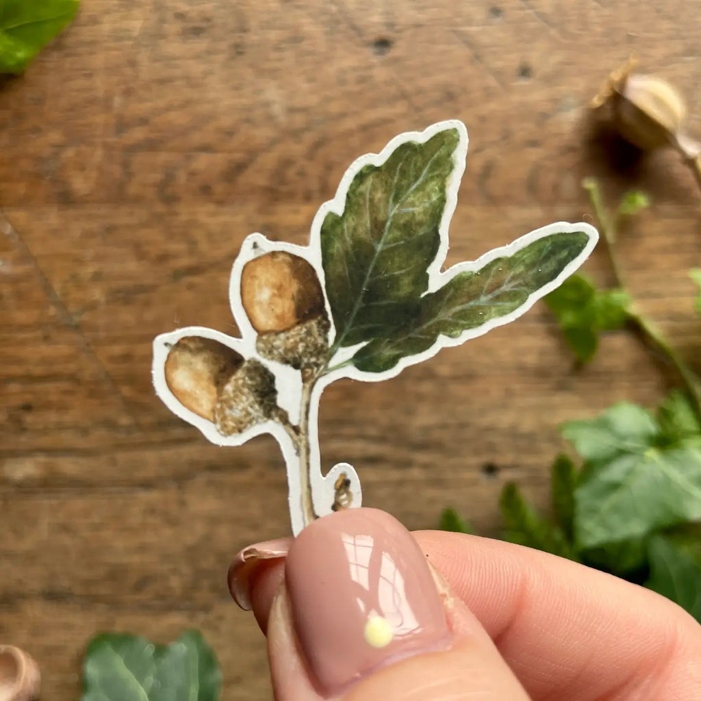 Woodland Nature Elements Sticker Set - Tribe Castlemaine