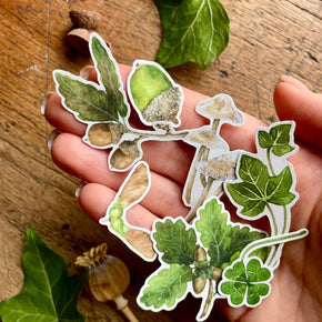 Woodland Nature Elements Sticker Set - Tribe Castlemaine