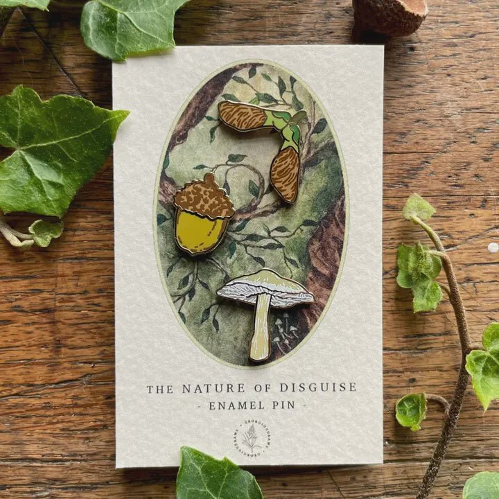 Woodland Seed Enamel Pin Badge Set - Tribe Castlemaine