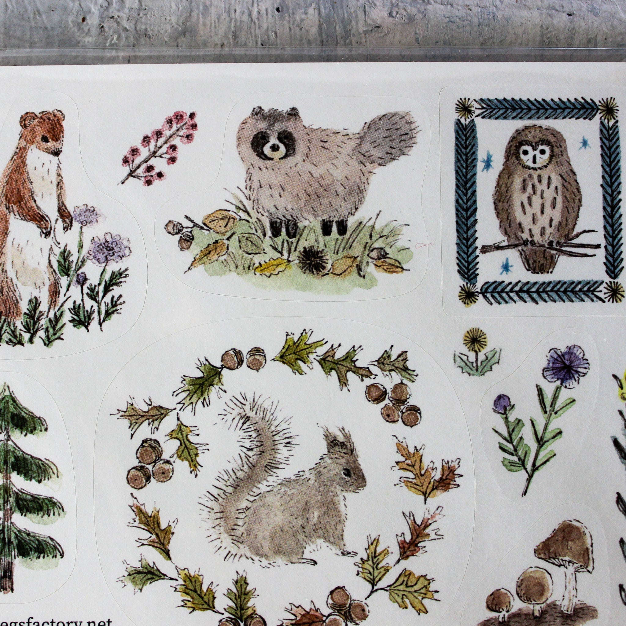 4legs Animal Sticker Sheet - Tribe Castlemaine
