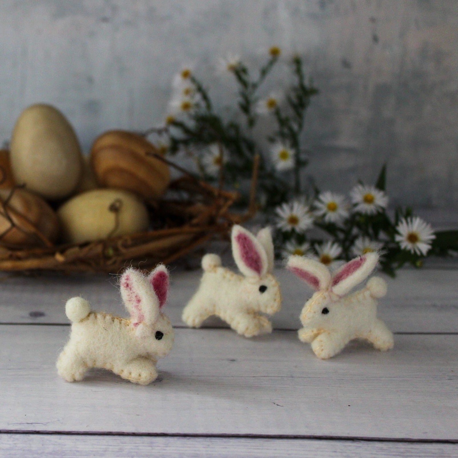 Baby Bunnies - Tribe Castlemaine