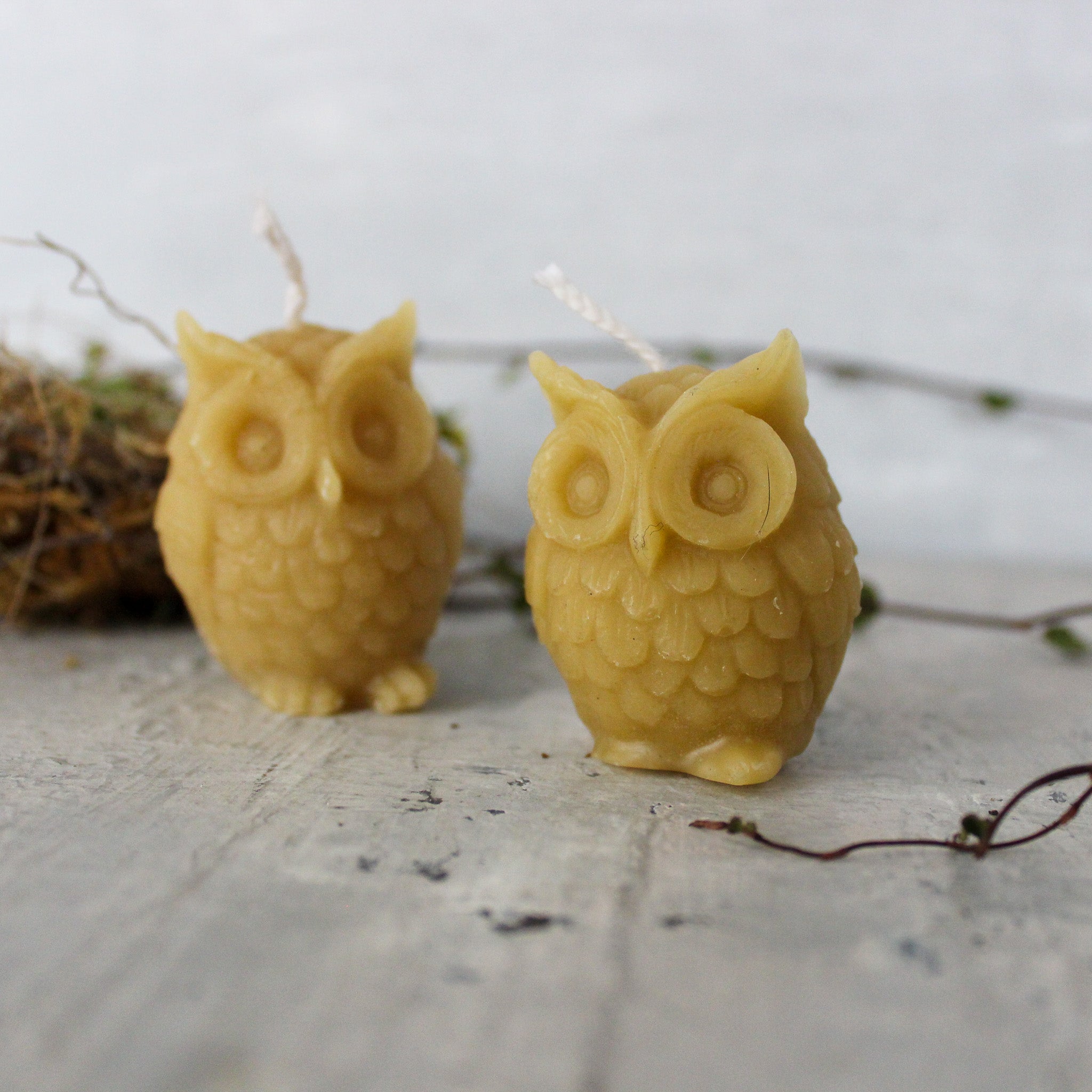 Baby Owl Beeswax Candles - Tribe Castlemaine