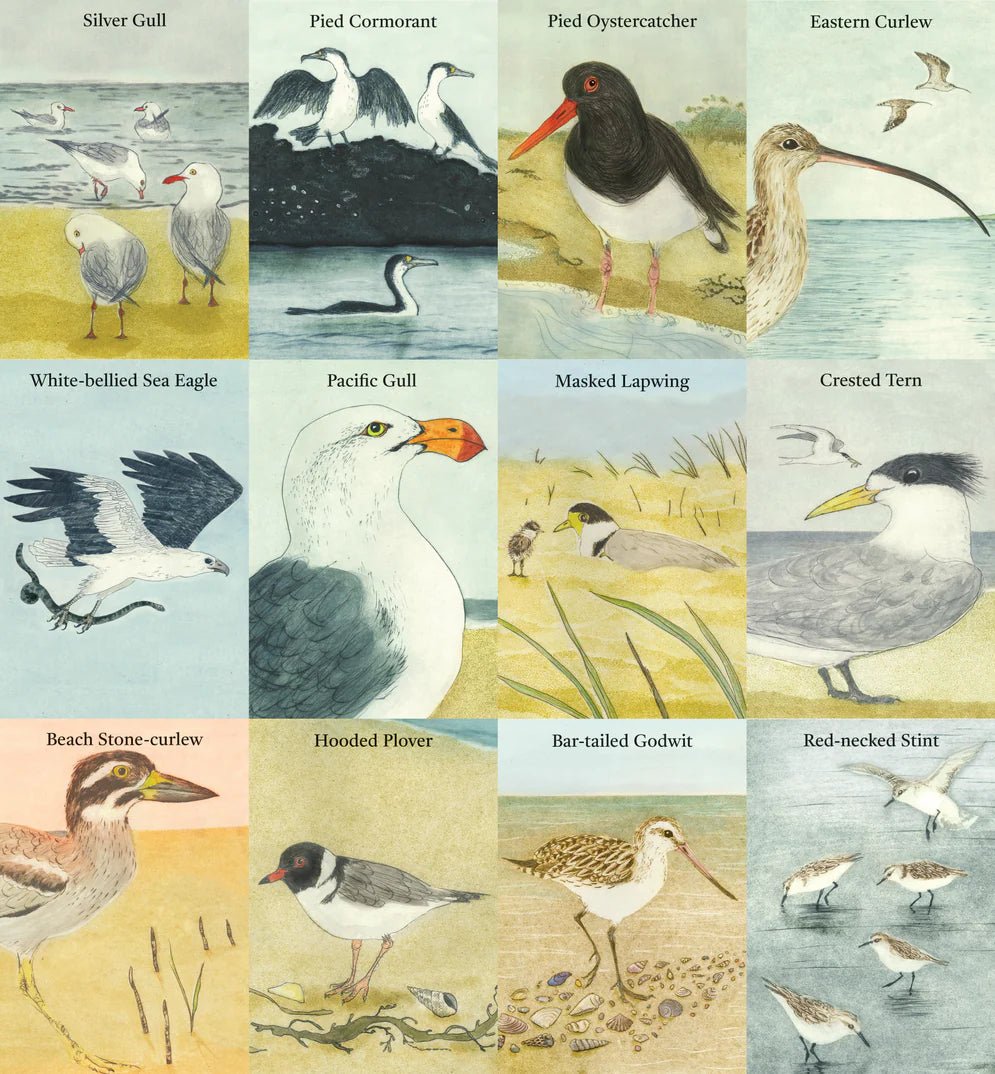 Beach Birds Card Game - Tribe Castlemaine