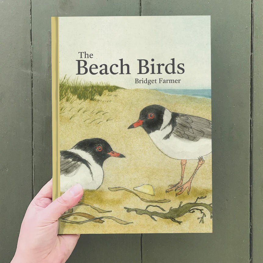Beach Birds Children's Book - Tribe Castlemaine