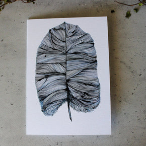 Blue Feather Card - Tribe Castlemaine