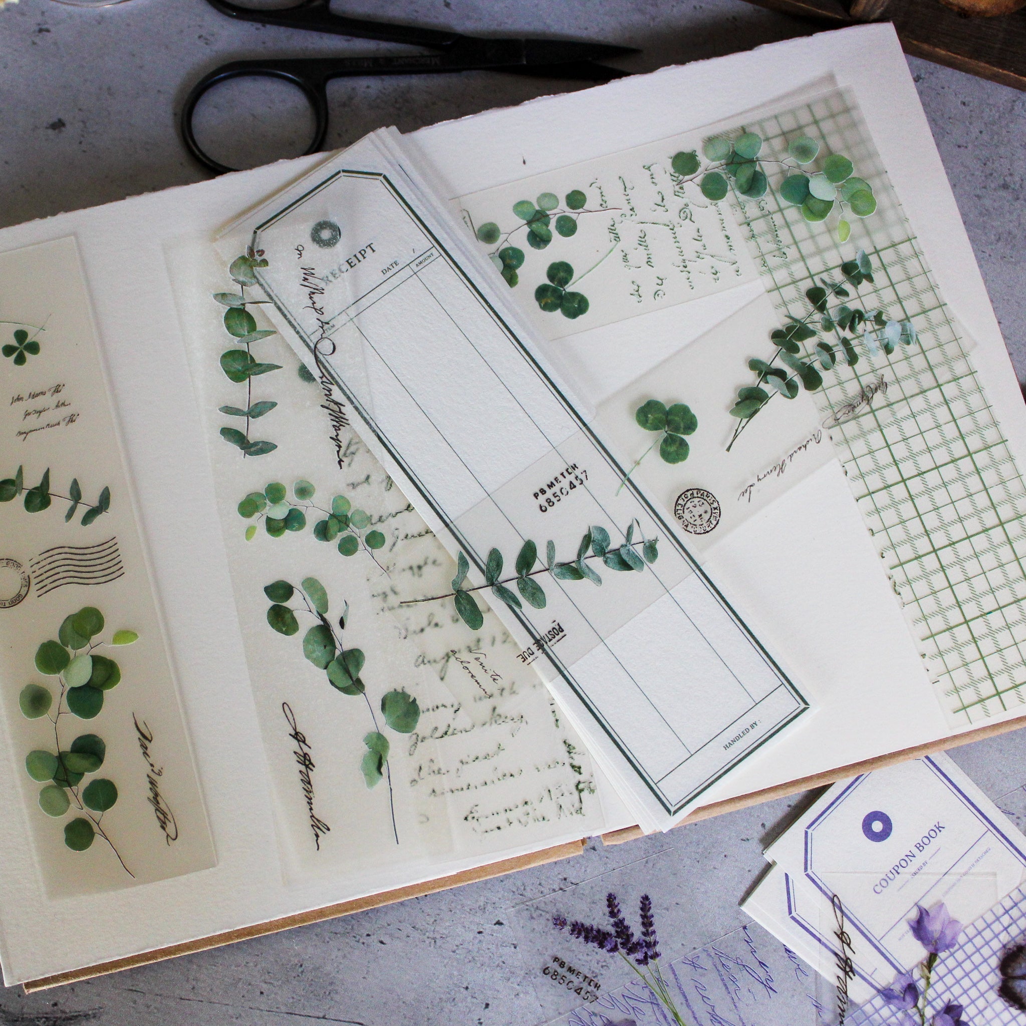 Botanical Papercraft Packs - Tribe Castlemaine