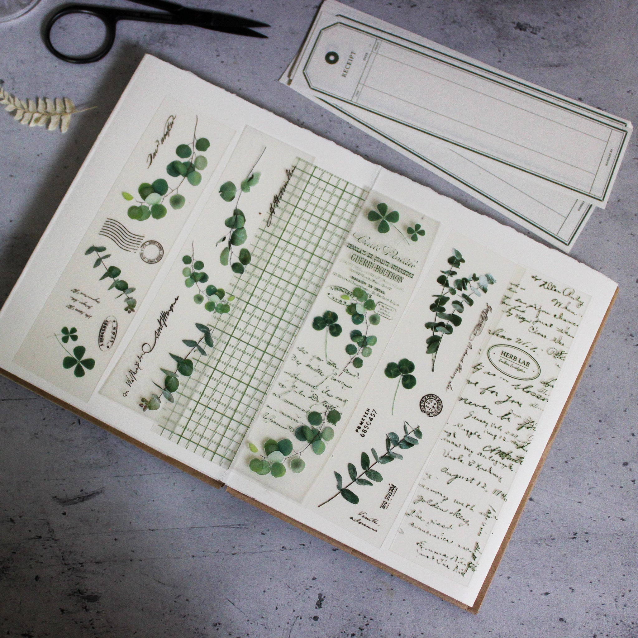 Botanical Papercraft Packs - Tribe Castlemaine