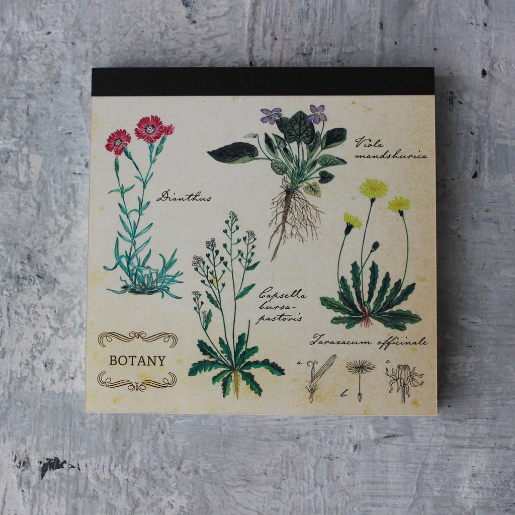 Botany Memo Pad - Tribe Castlemaine