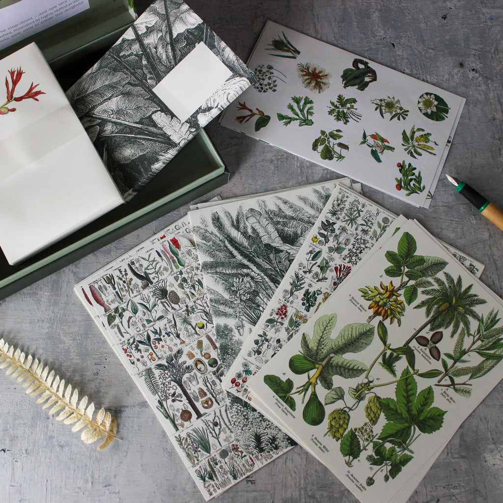 Boxed Letter Writing Set : Botanical - Tribe Castlemaine