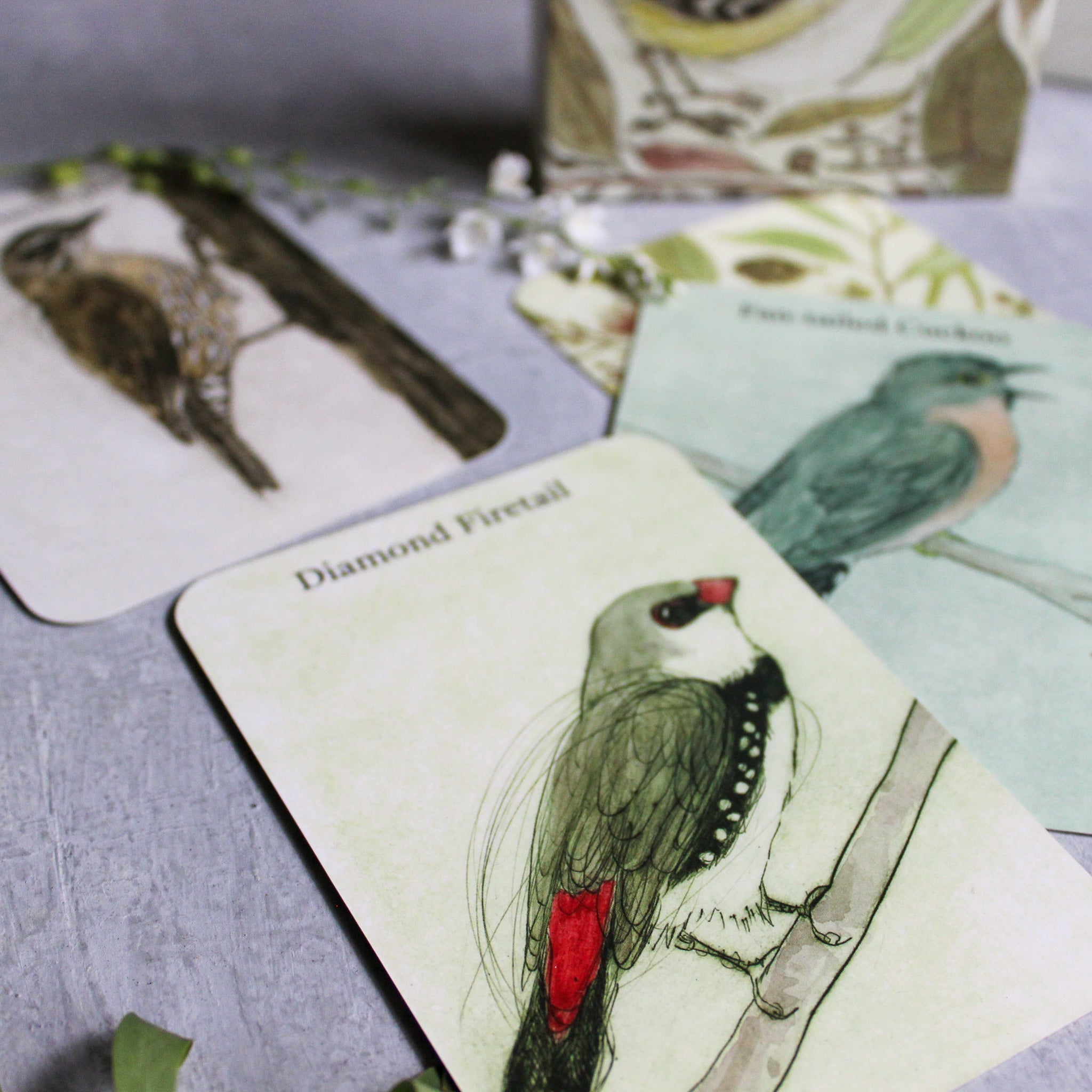 Bush Birds Card Game - Tribe Castlemaine