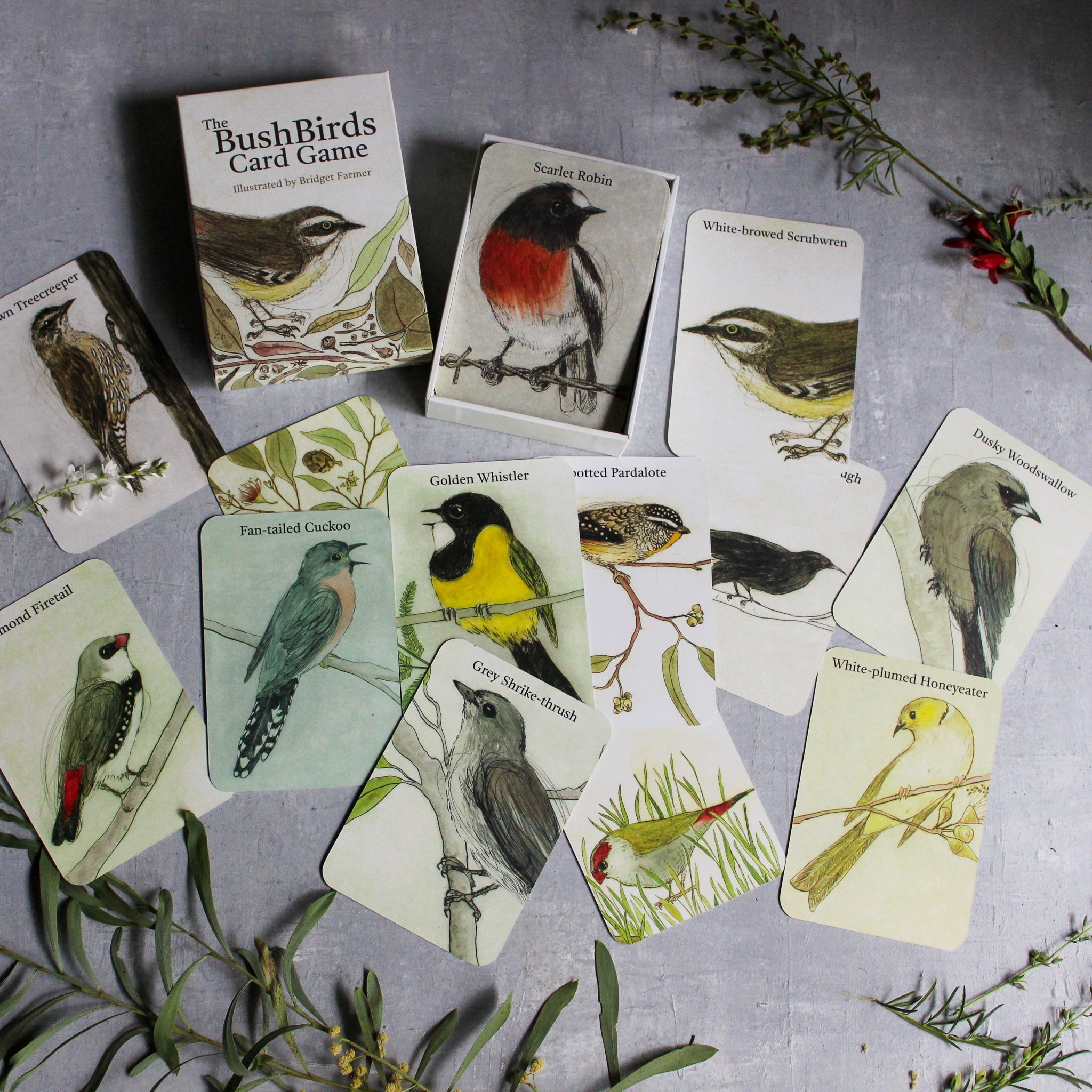 Bush Birds Card Game - Tribe Castlemaine
