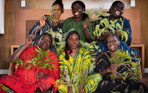 Bush Medijina Hand & Body Wash - Tribe Castlemaine