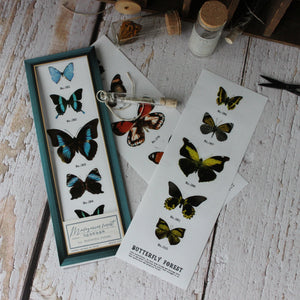 Butterfly Sticker Sets - Tribe Castlemaine