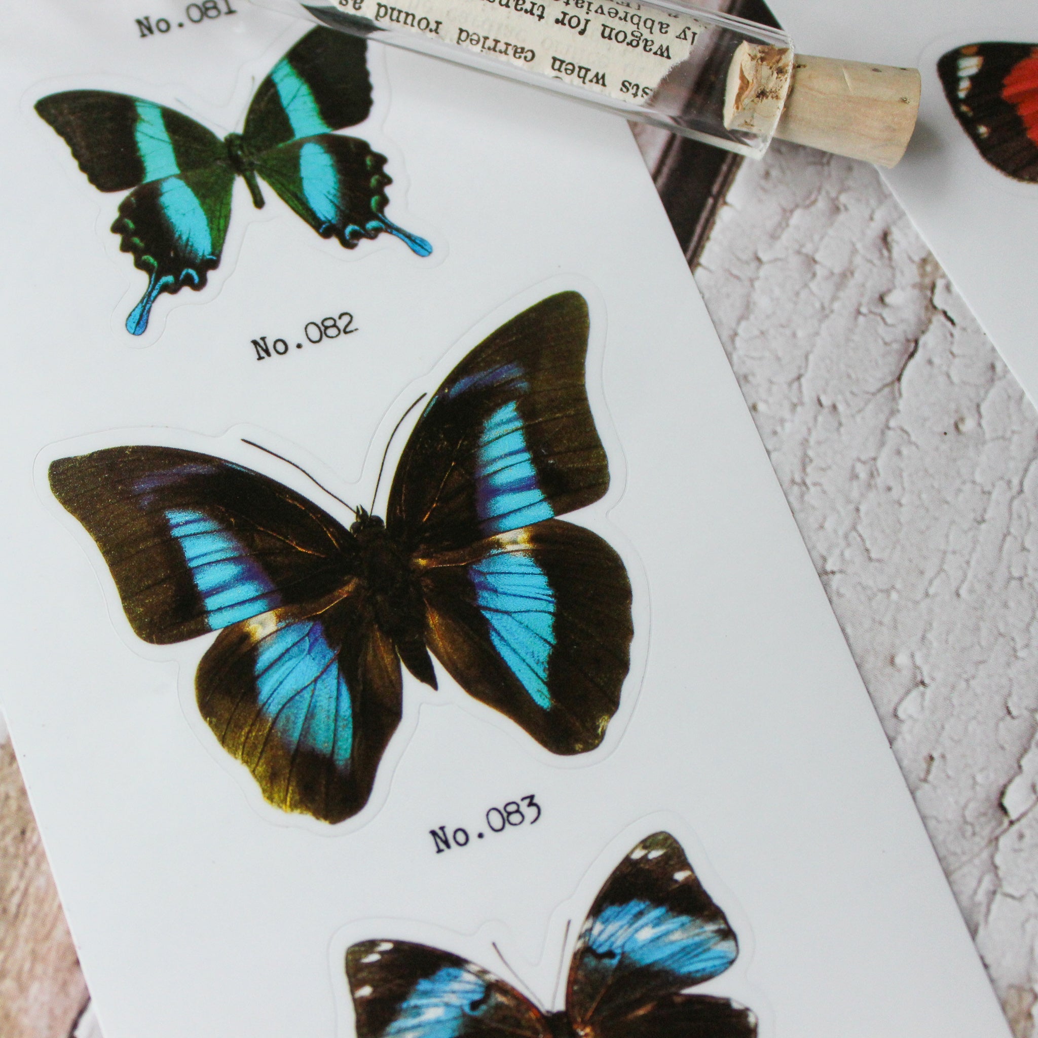 Butterfly Sticker Sets - Tribe Castlemaine