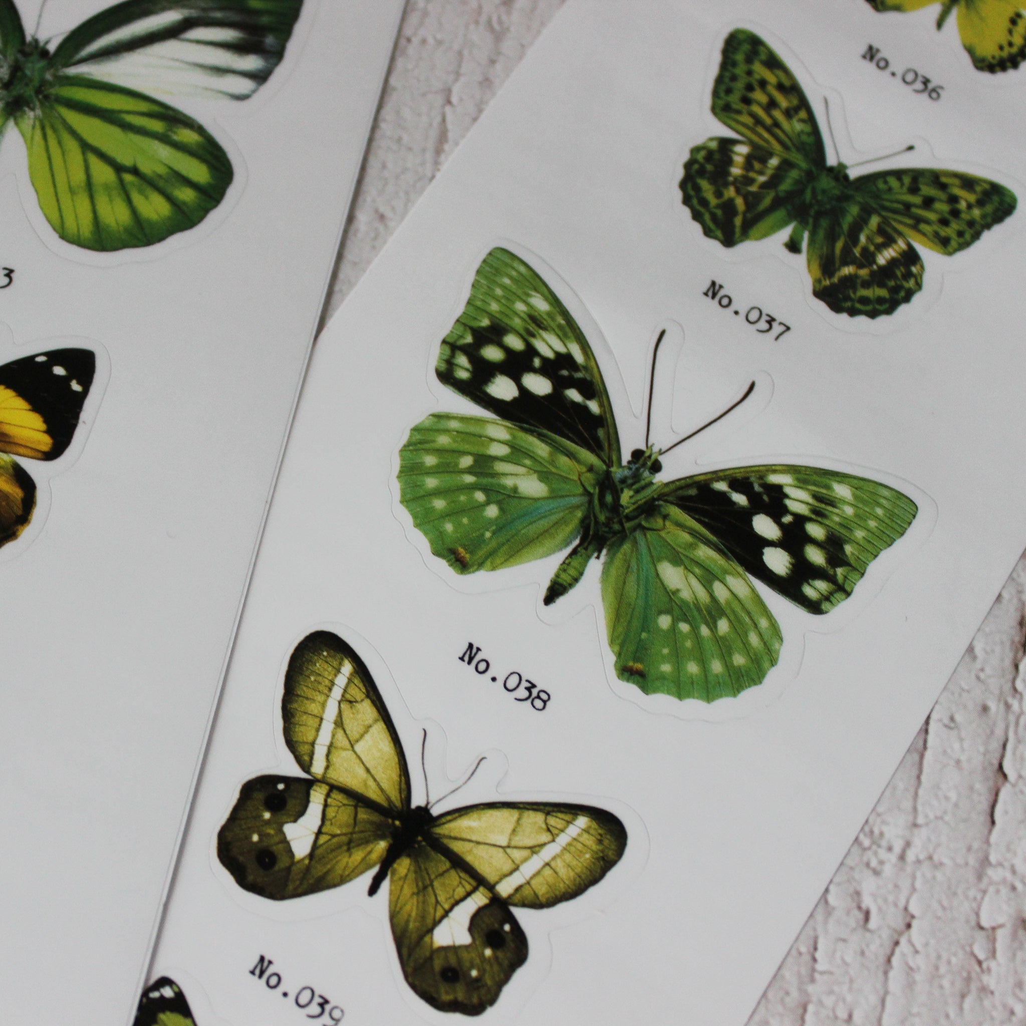 Butterfly Sticker Sets - Tribe Castlemaine