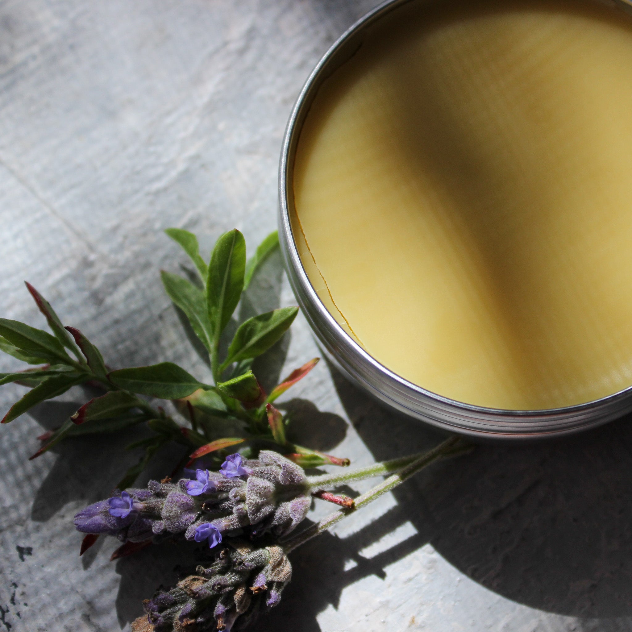 Calendula Herbal Salve - Tribe Castlemaine