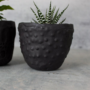 Ceramic Planter Black - Tribe Castlemaine